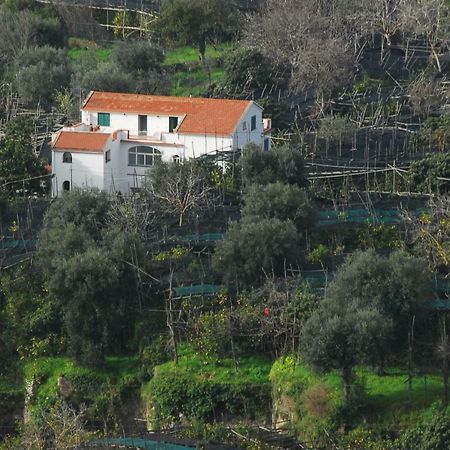 Azienda Agricola Veniero Piano di Sorrento Exteriör bild