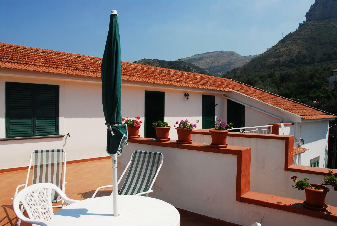 Azienda Agricola Veniero Piano di Sorrento Exteriör bild