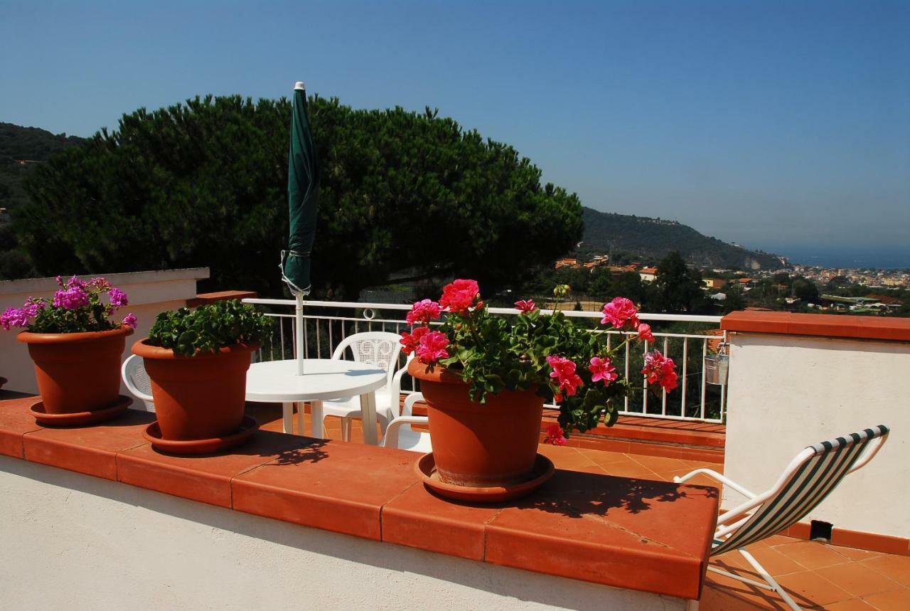 Azienda Agricola Veniero Piano di Sorrento Exteriör bild